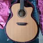 Naga sje-18c, Muziek en Instrumenten, Ophalen, Gebruikt