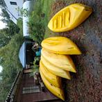 6 kano's van rotomod, Watersport en Boten, Kano's, Ophalen
