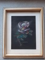 Pastel roos – Luc Vanden Sande – ingelijst, Ophalen of Verzenden