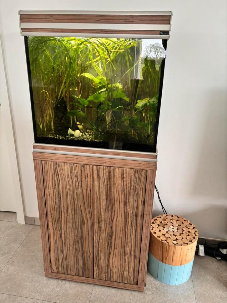 Aquatlantis aquarium 120l met oase biomaster 250 filter., Animaux & Accessoires, Poissons | Aquariums & Accessoires, Utilisé, Enlèvement