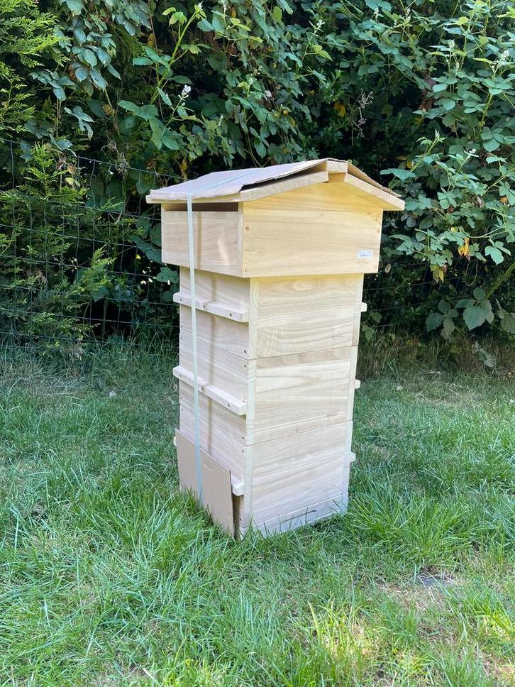Warré bijenkast diverse mogelijkheden, Dieren en Toebehoren, Insecten en Spinnen, Bijen