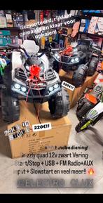 Grizzly KinderQuad 12v Vering Start-Stop/Multimedia RC, Ophalen
