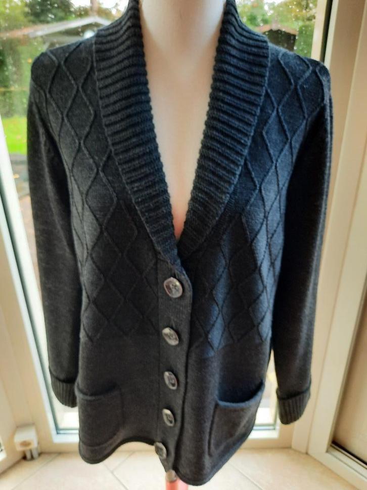 Prachtig vest RABE - 44, Kleding | Dames, Truien en Vesten, Zo goed als nieuw, Maat 42/44 (L), Grijs, Ophalen of Verzenden