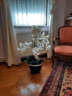 orchidée artificielle