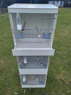 3 Kweekkooien exoten - kanaries... kunststof, Enlèvement, Synthétique