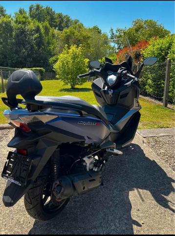 Scooter Symm cruisym alpha 125 cc.    Kleur midnight bleu beschikbaar voor biedingen