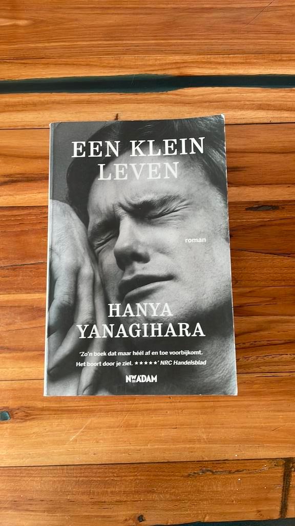 Hanya Yanagihara - Een klein leven, Boeken, Literatuur, Ophalen
