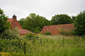 Huis te koop in Stekene beschikbaar voor biedingen