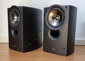 KEF IQ30 en élégant frêne noir