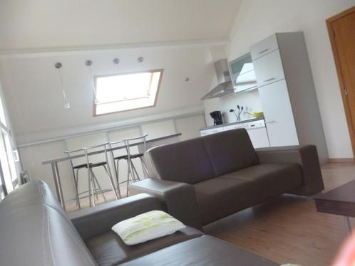 LOCATION APPARTEMENT MEUBLE, Immo, Appartementen en Studio's te huur, Charleroi, 50 m² of meer