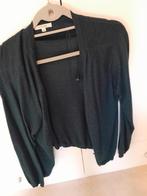 truitje Gigue maat 44, Kleding | Dames, Truien en Vesten, Ophalen of Verzenden, Zo goed als nieuw, Maat 42/44 (L), Groen