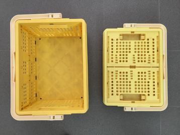 Opvouwbare stevige boodschappen- of picknickmanden 10€/stuk beschikbaar voor biedingen