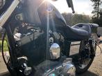 Zeer mooie Harley Sportster 1200, 1996, 1200 cc, Particulier, 2 cilinders, Chopper