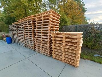 Paletten 130*110 cm beschikbaar voor biedingen