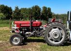 Massey - Ferguson 65 . Perfecte staat!!, Zakelijke goederen, Ophalen, Gebruikt, Tot 80 Pk, Massey Ferguson