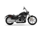 Harley-Davidson Chopper SOFTAIL STANDARD - FXST - NIEUW 2022, Motoren, 1745 cc, Bedrijf, Meer dan 35 kW, Overig