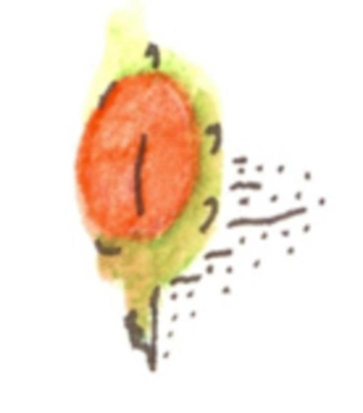 Marketingondernemer, Diensten en Vakmensen, Welzijn | Overige