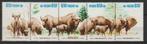 Polen 1981 nr 2764-2768, Postzegels en Munten, Polen, Verzenden, Gestempeld