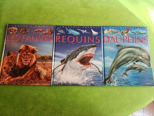 Paquet La grande imagerie Les Fauves + Dauphins + Requin, Boeken, Kinderboeken | Jeugd | onder 10 jaar, Zo goed als nieuw, Ophalen of Verzenden