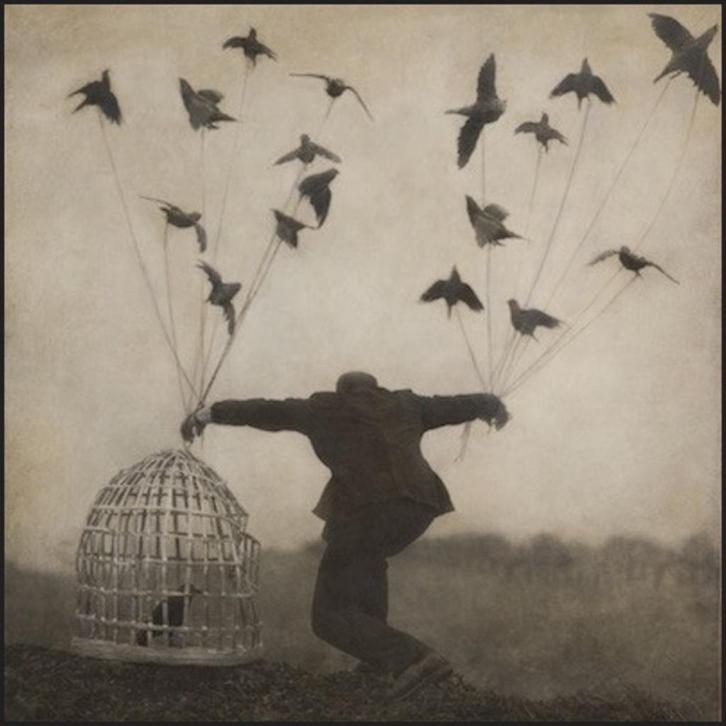 Dubbel-LP The Gloaming - 2 (IN NIEUWSTAAT), Cd's en Dvd's, Vinyl | Wereldmuziek, Nieuw in verpakking, Europees, 12 inch, Ophalen of Verzenden
