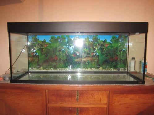 Juwel aquarium Rio 240 liter, Dieren en Toebehoren, Vissen | Aquaria en Toebehoren, Gebruikt, Leeg aquarium, Ophalen