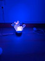 Mickey Mousse LED lampje, Ophalen, Mickey Mouse