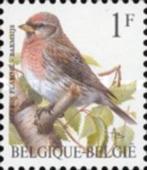 Timbres Belgique Oiseaux Année 1992 MNH, Gomme originale, Neuf, Autre, Enlèvement ou Envoi