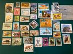 Lot de timbres sur le thème des animaux (1), Timbres & Monnaies, Animal et Nature, Affranchi, Enlèvement ou Envoi