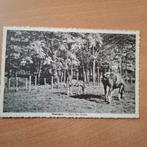 Nassogne, Enlèvement ou Envoi