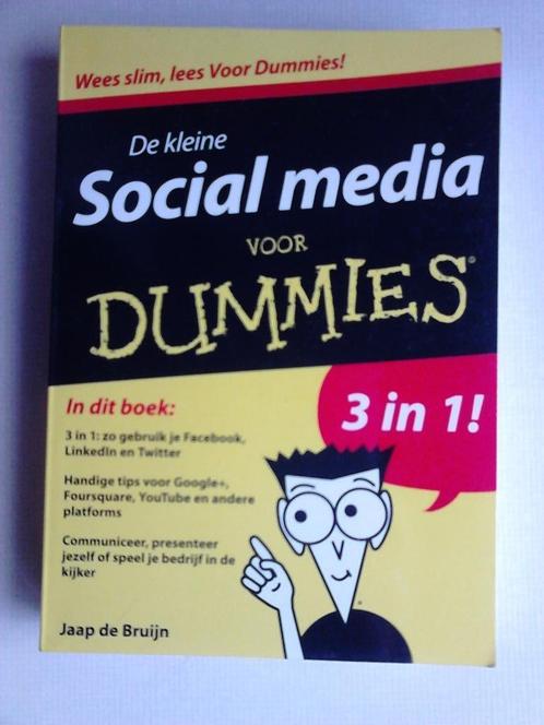 De kleine social media voor Dummies, Livres, Économie, Management & Marketing, Comme neuf, Enlèvement ou Envoi