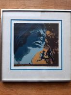 De Cocker Paul, Antiek en Kunst, Kunst | Litho's en Zeefdrukken, Ophalen