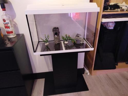 Aquarium met staander, Dieren en Toebehoren, Vissen | Aquaria en Toebehoren, Ophalen