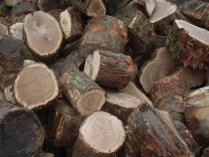 BOIS DE CHAUFFAGE Rondins à refendre, Tuin en Terras, Brandhout, Beukenhout, Ophalen