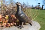 pigeon en fonte patinée bronze, Enlèvement ou Envoi, Neuf