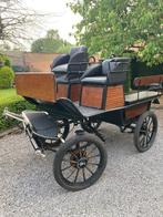 Chr van een heuvel koets, Zo goed als nieuw, Wagonette, Paard of Pony