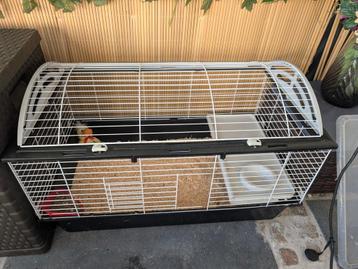 Ruime Konijnen / Cavia kooi beschikbaar voor biedingen