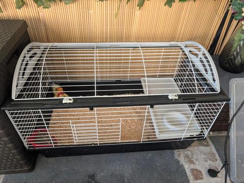 Ruime Konijnen / Cavia kooi, Dieren en Toebehoren, Knaagdieren en Konijnen | Hokken en Kooien, Zo goed als nieuw, Kooi, Cavia