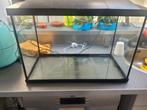 Aquarium met licht, Dieren en Toebehoren, Ophalen, Zo goed als nieuw