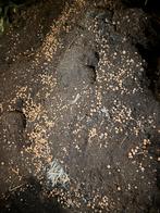 Grond met kleikorrels, Tuin en Terras, Ophalen