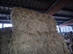 Grote botten hooi en stro, Dieren en Toebehoren, Ophalen of Verzenden