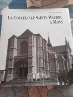 La collégiale sainte waudru à Mons, Ophalen of Verzenden, Zo goed als nieuw