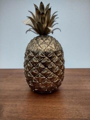 Ijsemmer ananas manetti beschikbaar voor biedingen