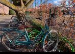 Damesfiets Elops
