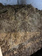 Gratis paardenmest, Enlèvement, Fumier