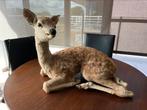 Taxidermy Hert, Verzamelen, Ophalen of Verzenden, Hert