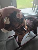 Schommelpaard met geluid, Ophalen, Gebruikt