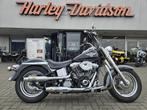 Harley-Davidson FLSTN Heritage Special (bj 1995), Overig