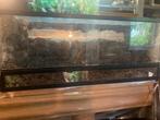 Laag terrarium, Ophalen, Gebruikt, Terrarium of Paludarium