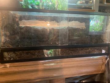 Laag terrarium  beschikbaar voor biedingen