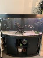 Juwel vision 260 + kast, Animaux & Accessoires, Enlèvement, Comme neuf